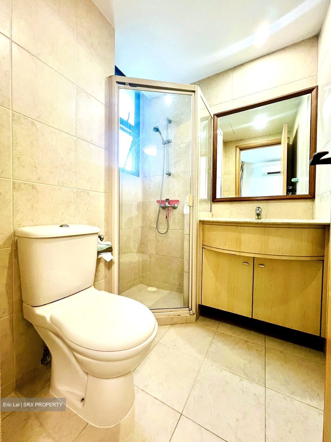 Dunman View (D15), Condominium #597166901